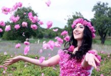 Right to Vote and Public Services