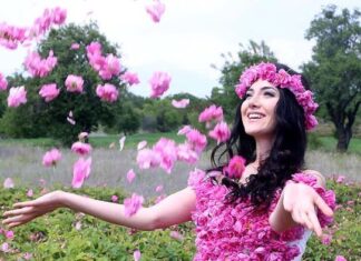 Right to Vote and Public Services