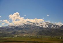 Abundance of Fruits and Crops