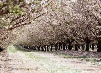 Turning from the Main Road