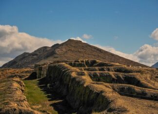 Onions and Daily Food